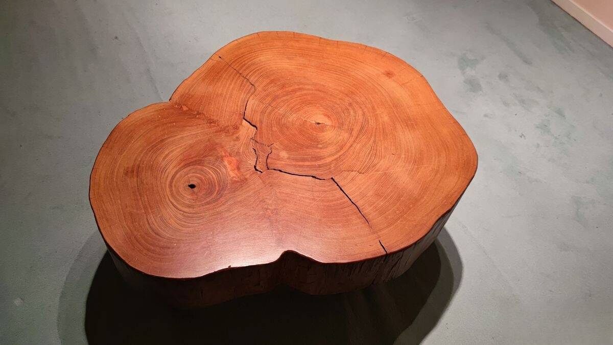 To be entered: Solid teak coffee table – unique piece – trunk slice – 98 x 81 cm