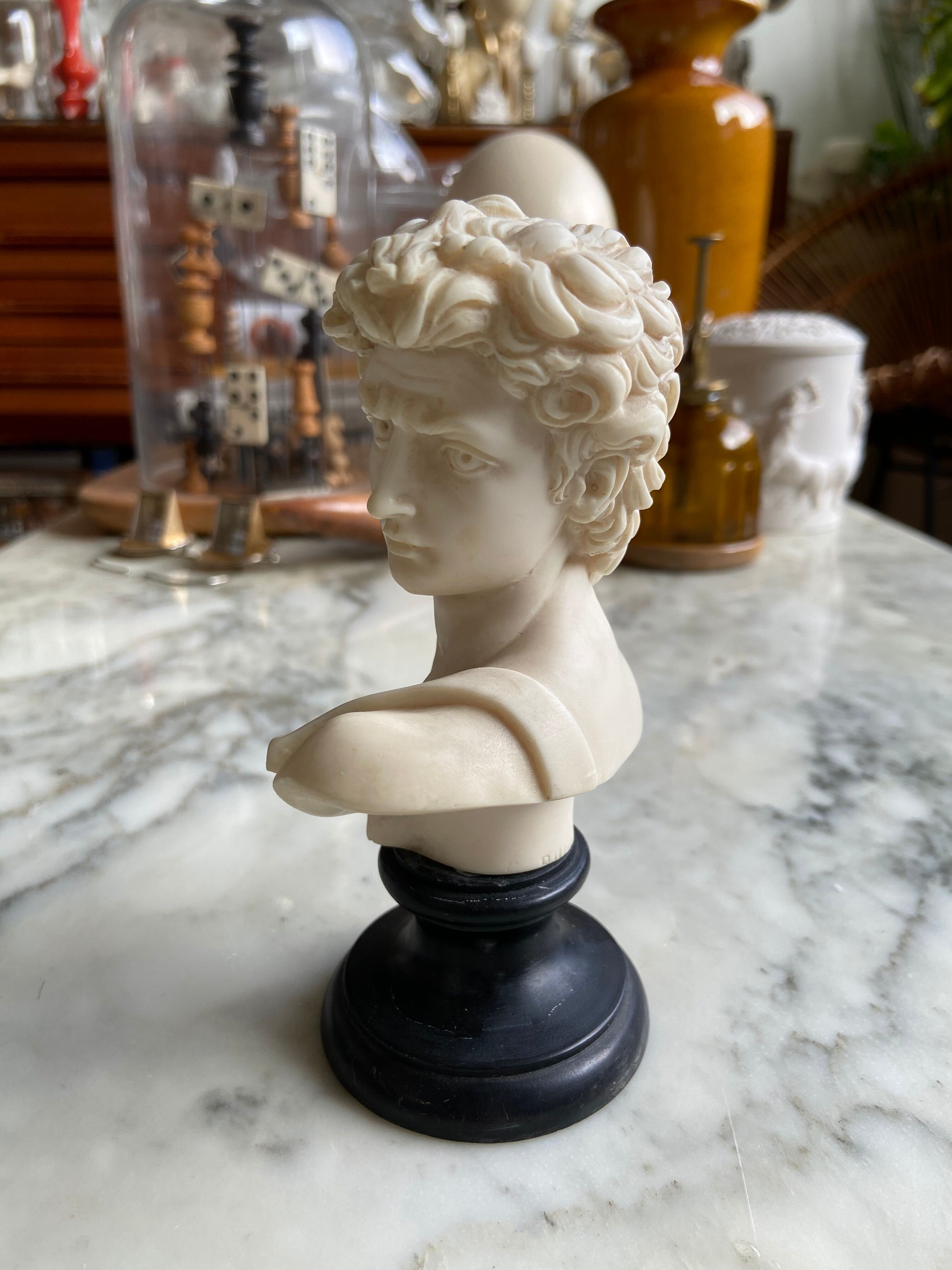 Bust of David