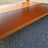 Vintage coffee table by Roger Capron, herbarium model