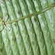 Asparagus service in earthenware, trompe-l'œil decoration, vintage 1970s-1980s.