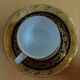 Limoges / Napoleon III cup and saucer
