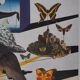 Salvador Dali: Normandy, SNCF (Butterfly Suite small model), original signed lithograph