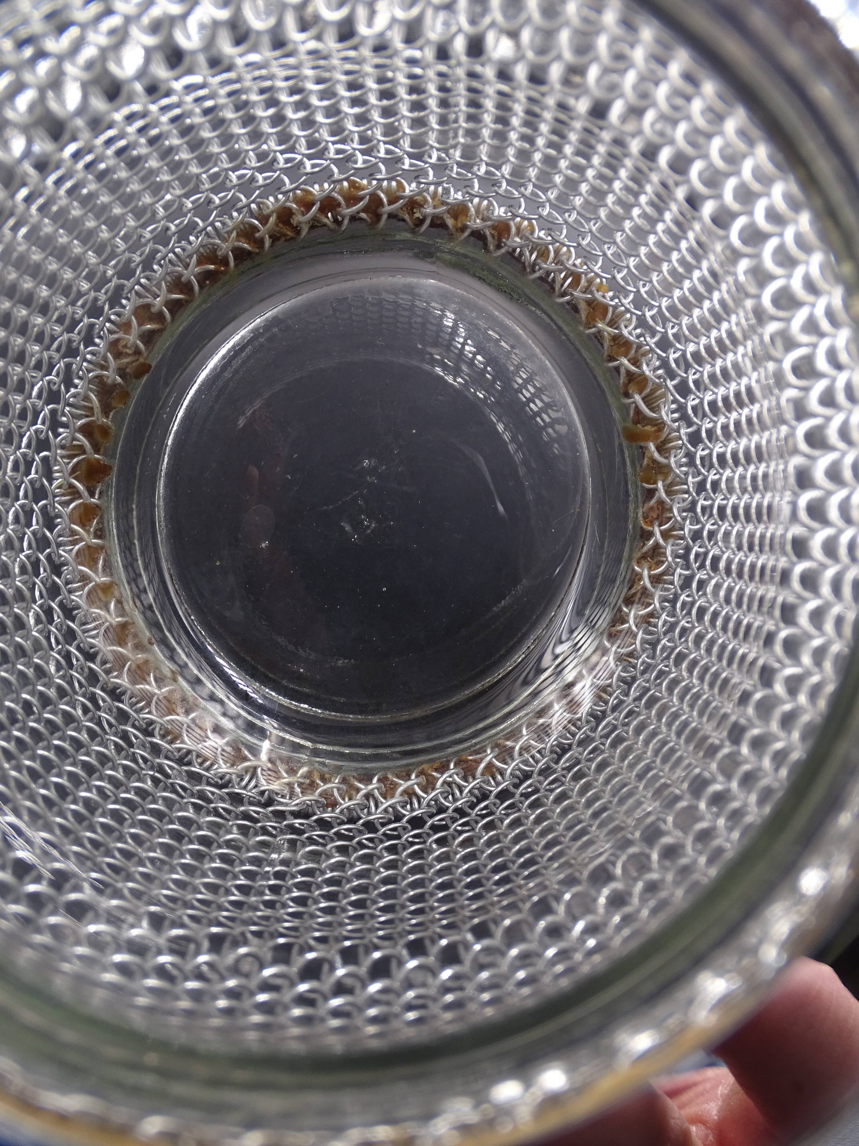 Screened ice bucket, circa 1970