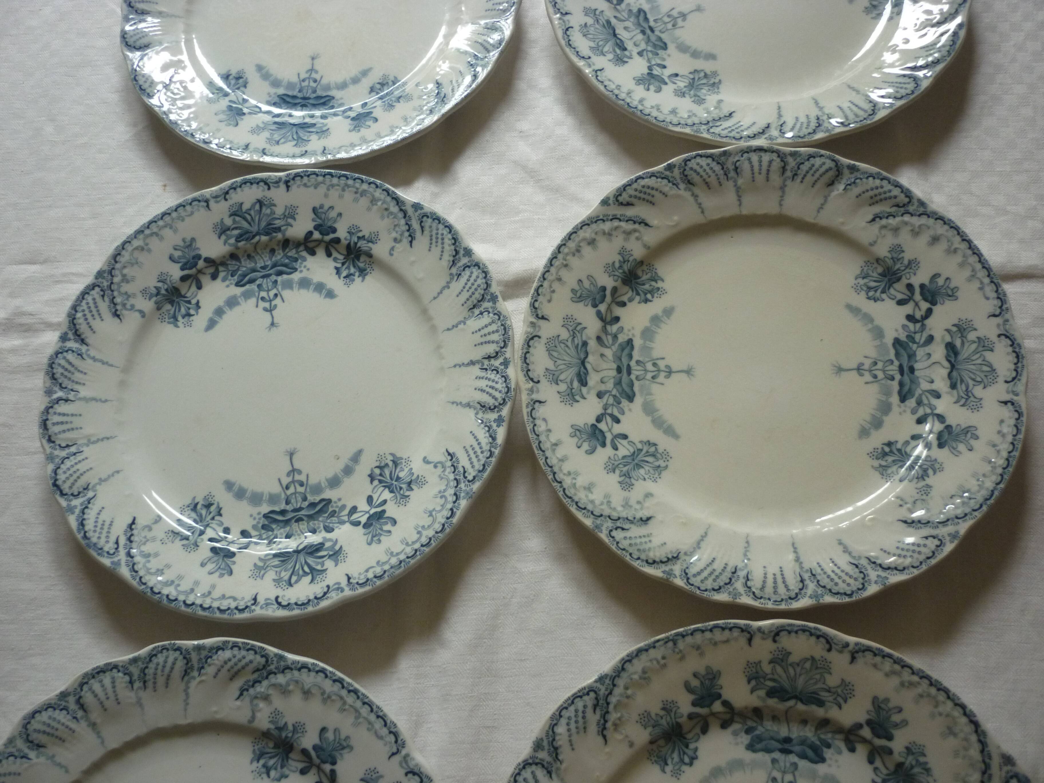 6 st Amand flat plates model Regence