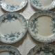 6 st Amand flat plates model Regence