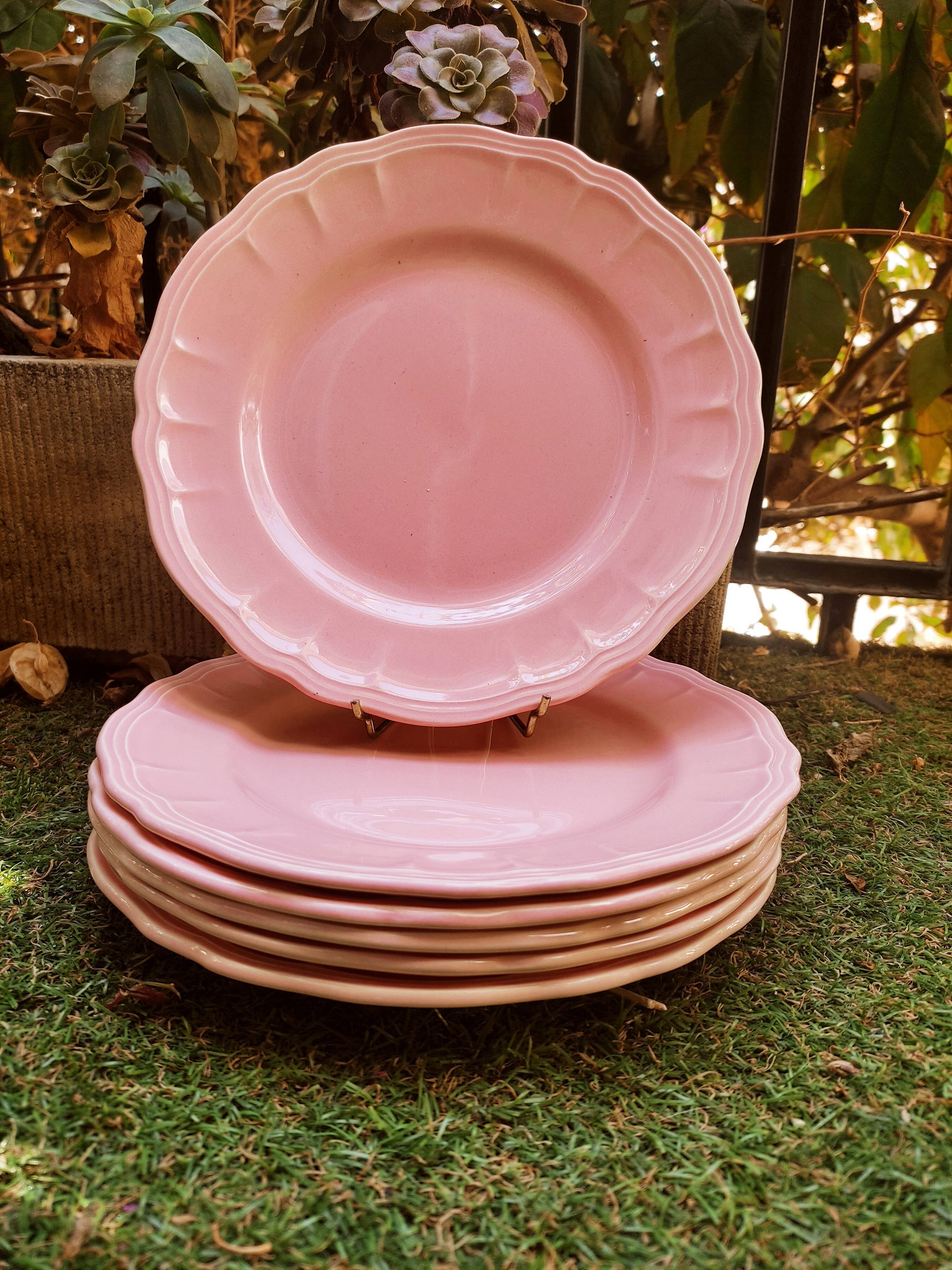 6 Salins plates in Provençal style earthenware