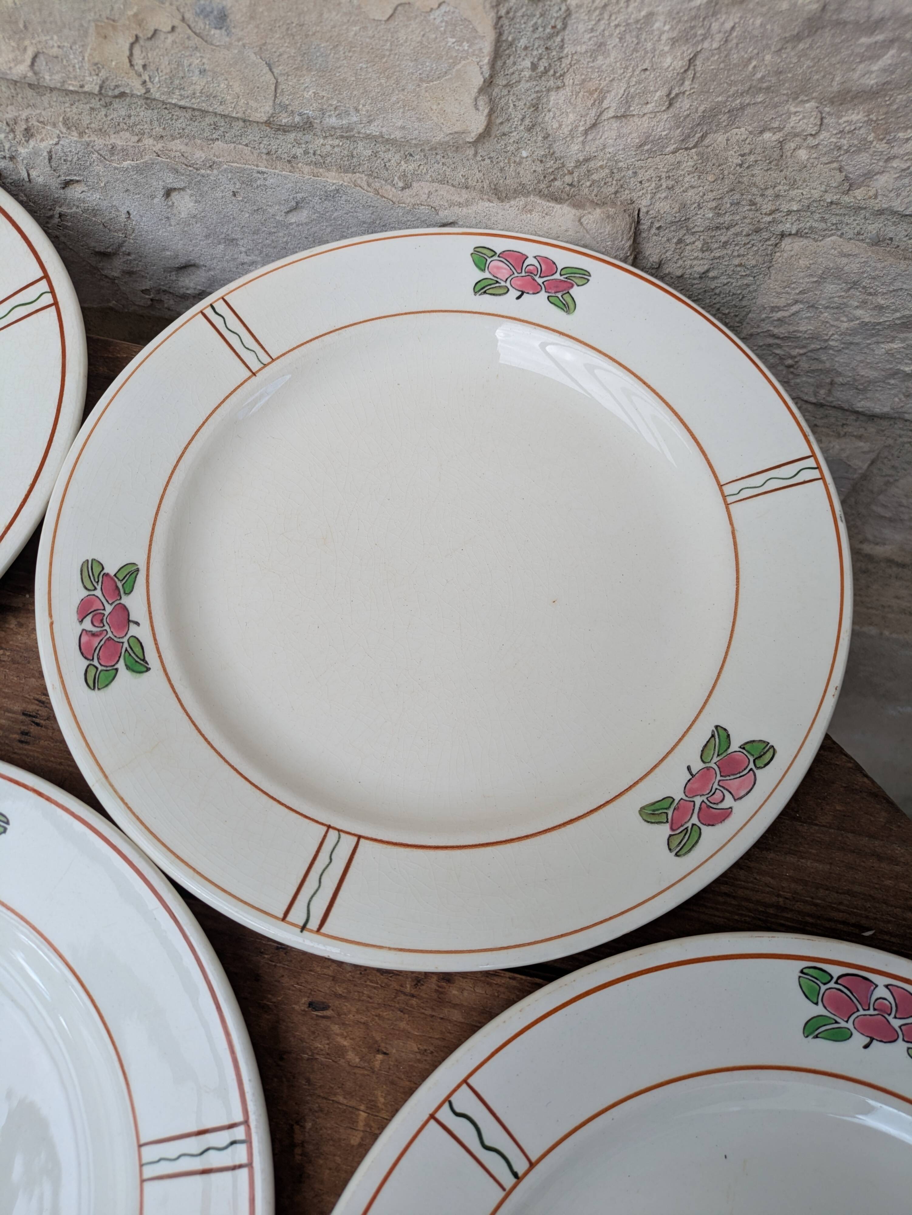 9 old flat plates in Salins ironstone model Nénuphar 24.5cm