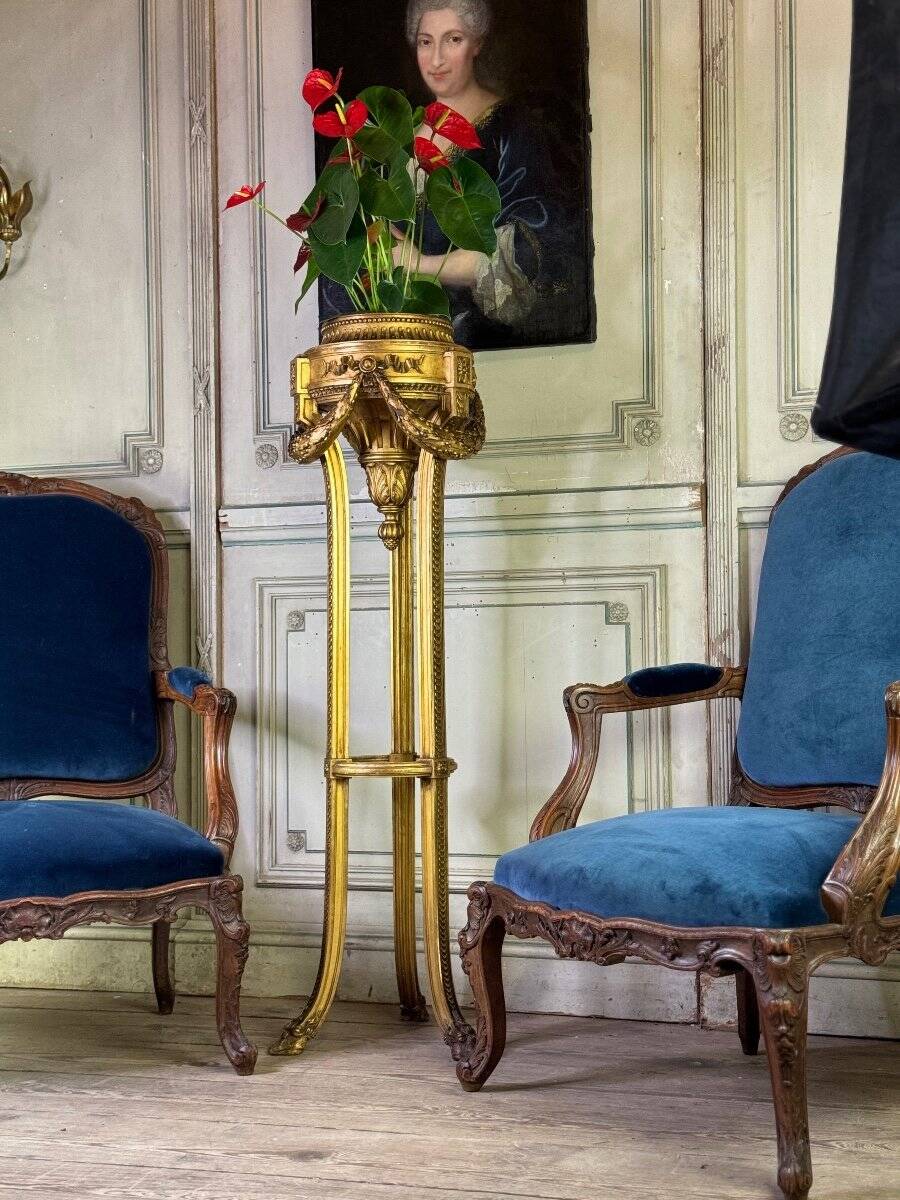 Louis XVI style planter in carved and gilded wood circa 1900