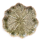 Water lily dish