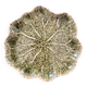 Water lily dish