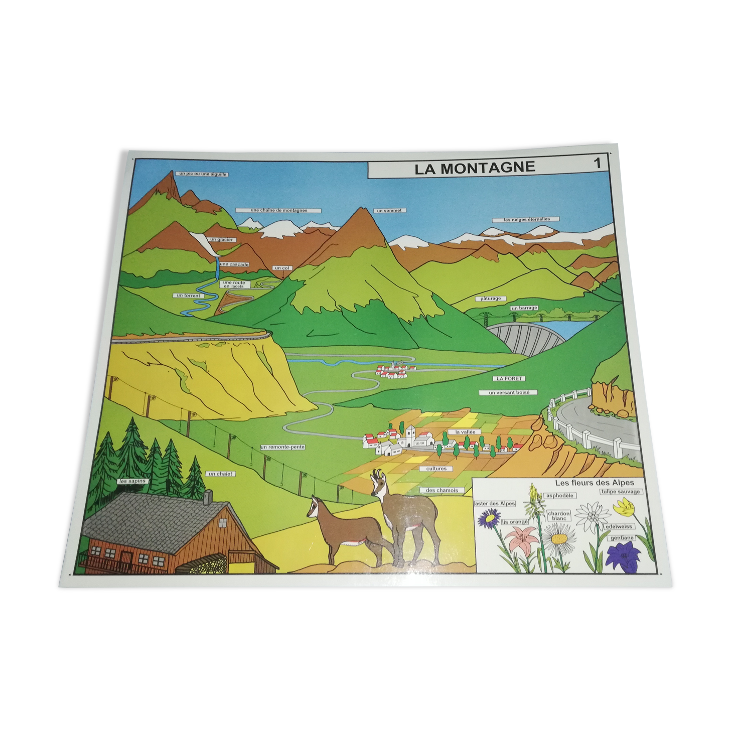 Plastic school poster,  90s