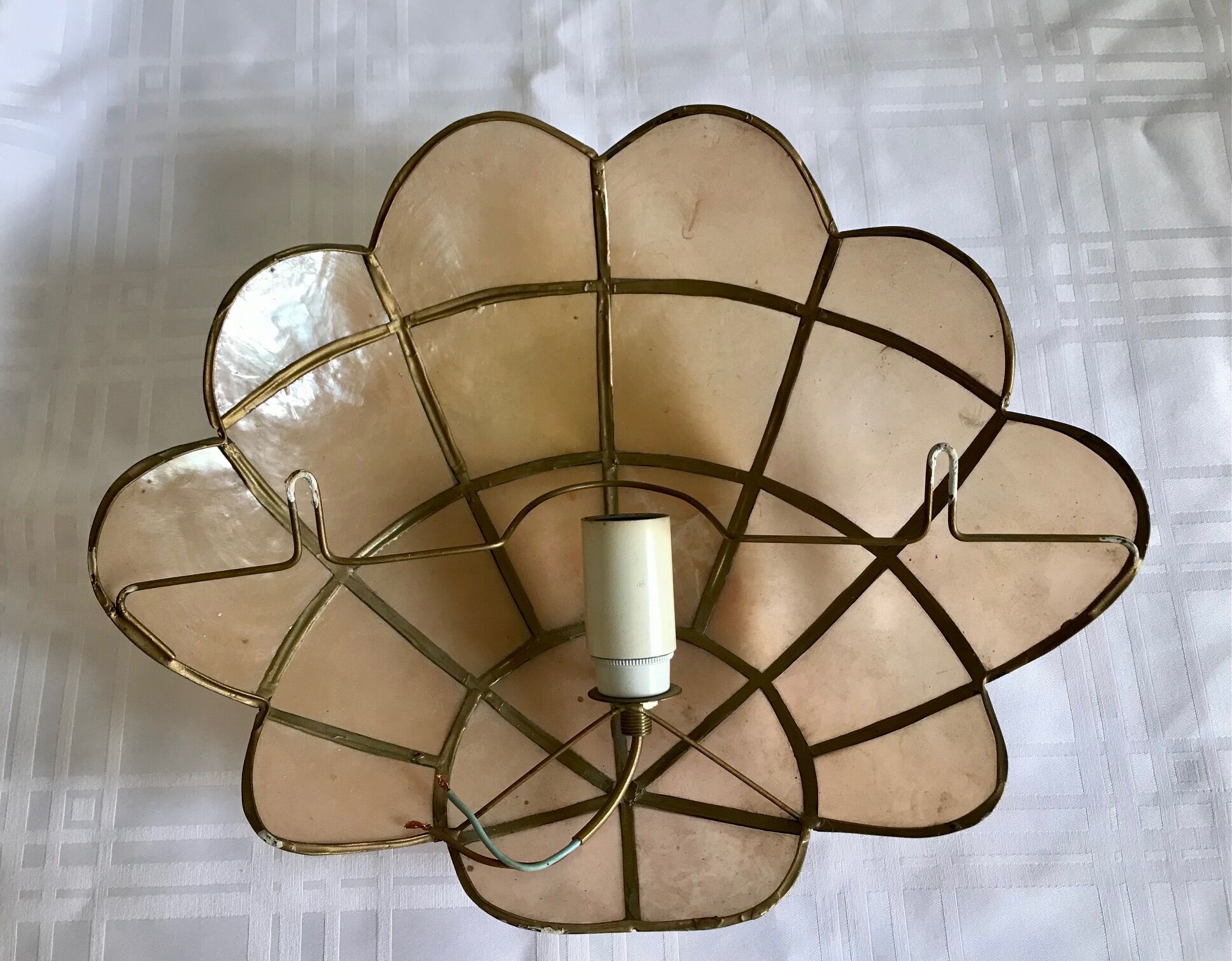 Pair of mother-of-pearl shell sconces