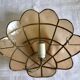 Pair of mother-of-pearl shell sconces