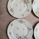 Set of 12 dessert plates in Limoges porcelain GDA France – floral design