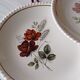 Lot de seize assiettes plates