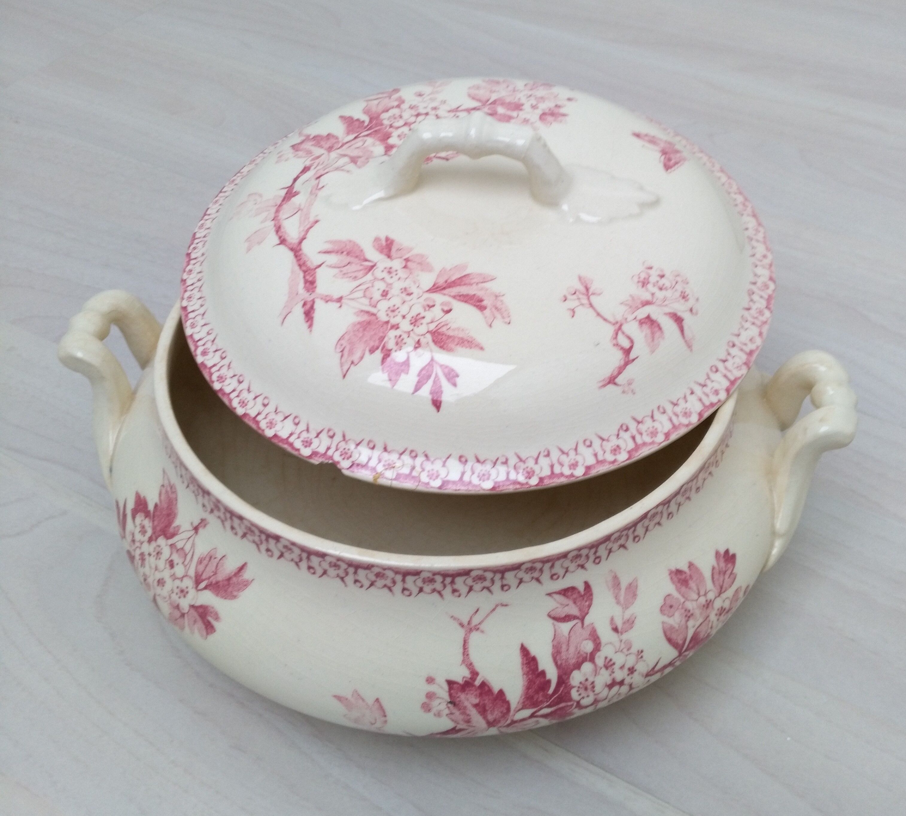 Iron earth tureen from Gien model Pink Hawthorn