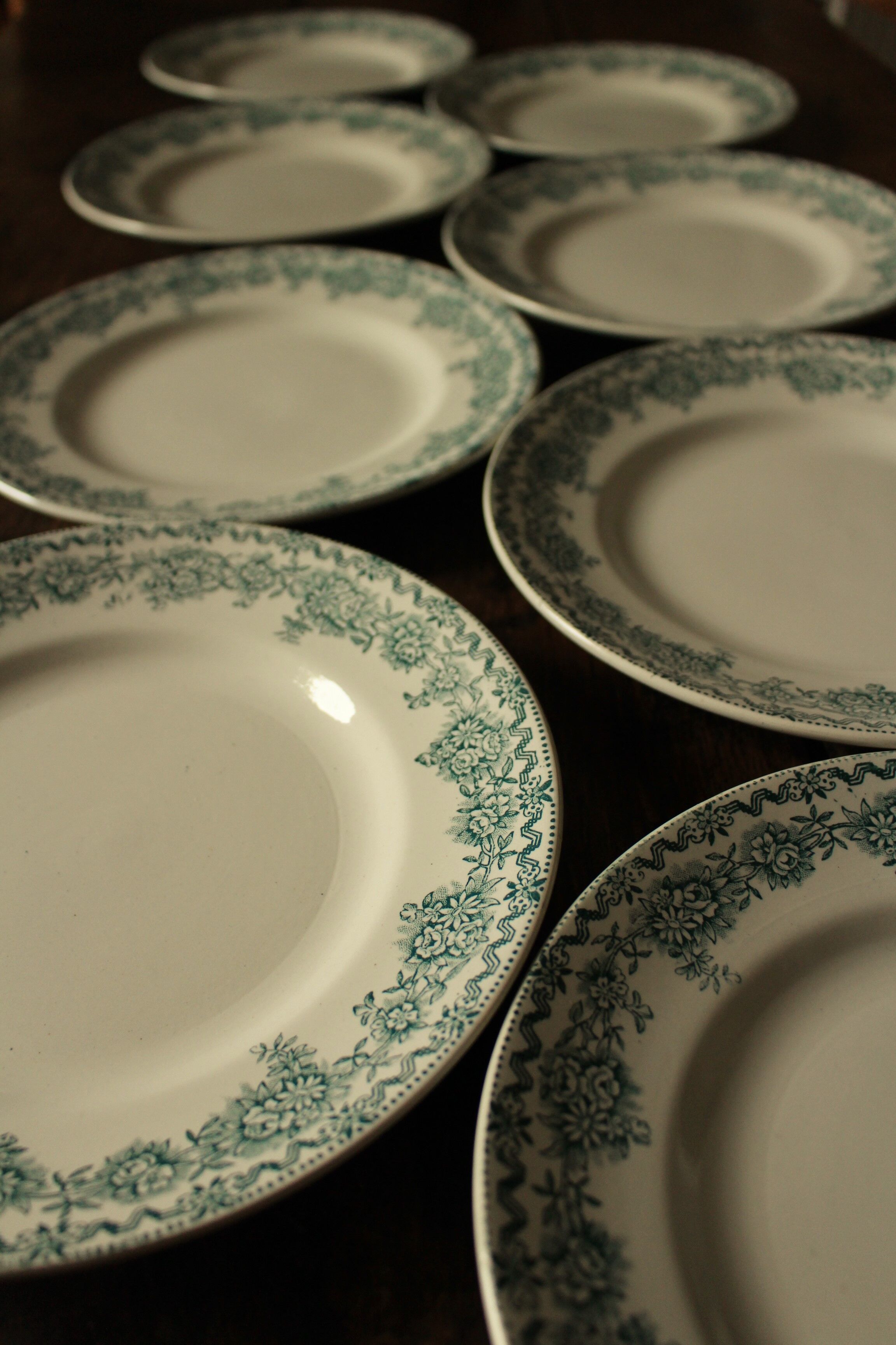 Lot 8 flat plates Terre de Fert vert Fleurs Argenton Saint Amand