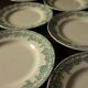 Lot 8 flat plates Terre de Fert vert Fleurs Argenton Saint Amand