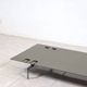 PK80 daybed by Poul Kjaerholm for Fritz Hansen