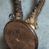 Vintage Scandinavian Hunting Trophy