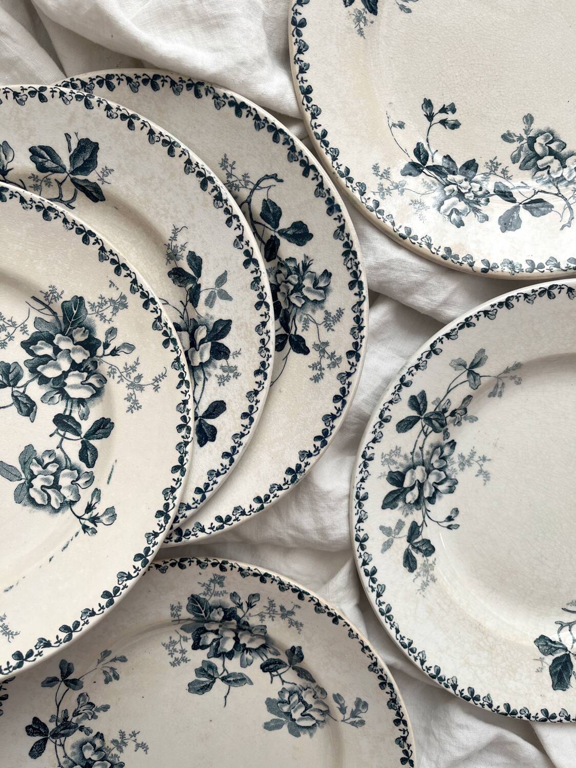6 assiettes plates en terre de fer « Acacia » Moulin des Loups et Hamage