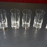 Lot of 6 Moser engraved glasses