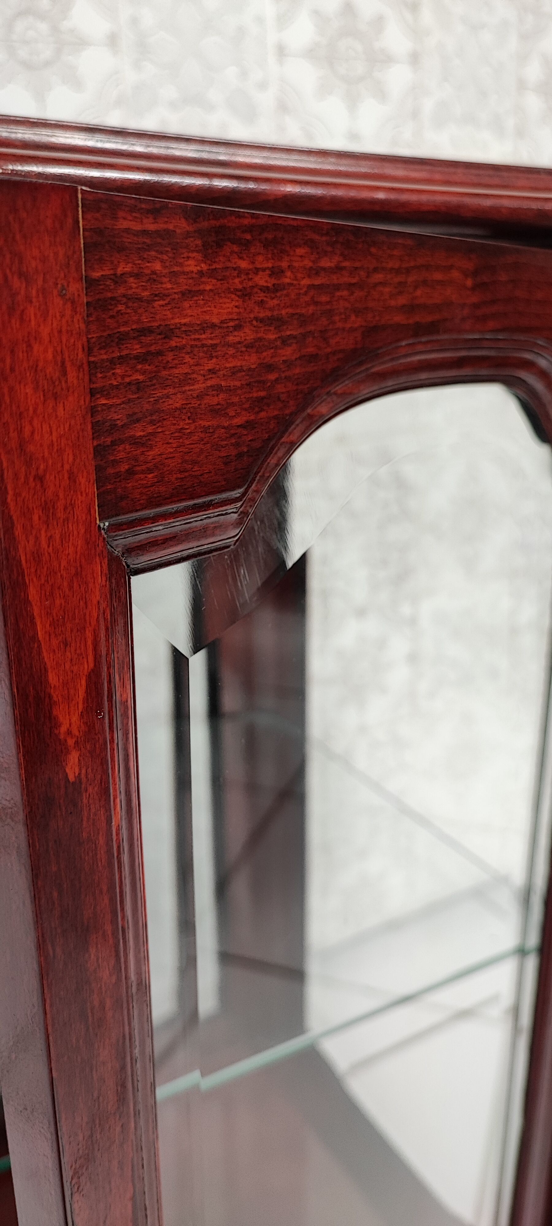 Showcase low glass beveled exotic wood