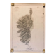 Carte nautique ile de corse corsica relevé  germain- hatt bouillet 1884_1891 carte maritime  ed 1952