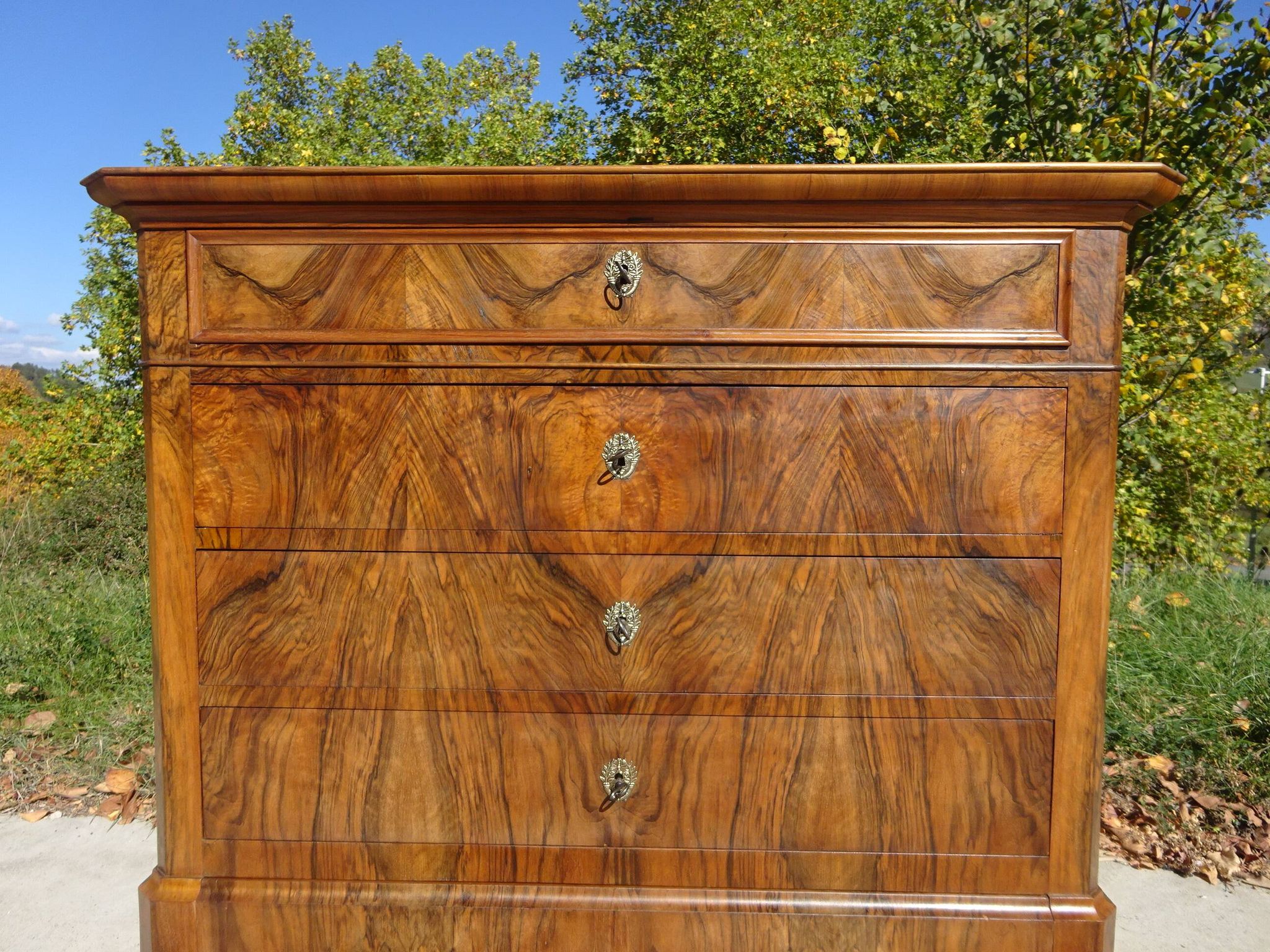 Walnut and walnut burl commode in Louis Philippe style.