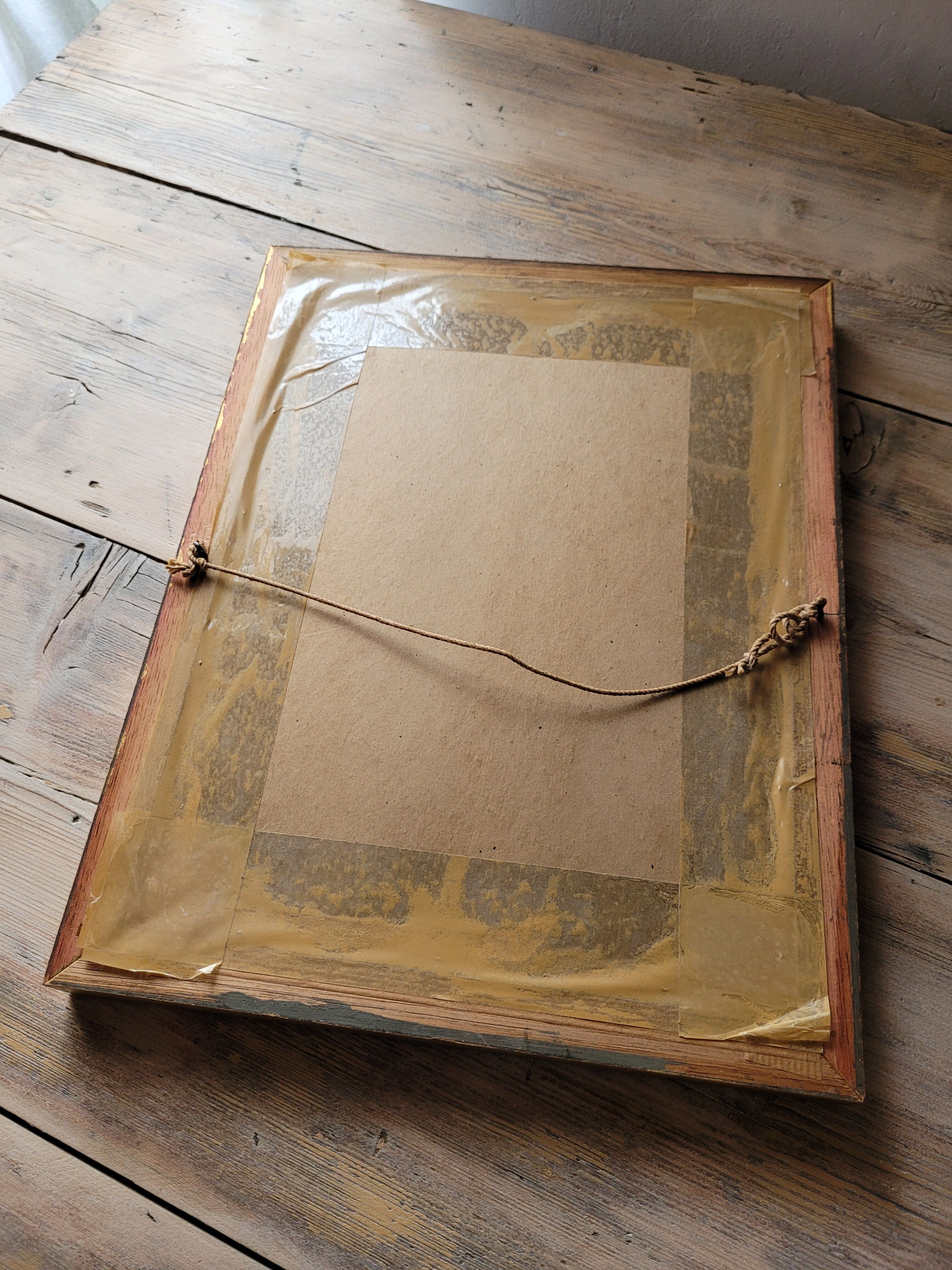 Yellow Macaw engraving