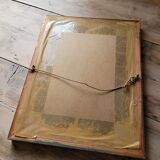 Yellow Macaw engraving