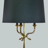 Dolphin hot water bottle lamp