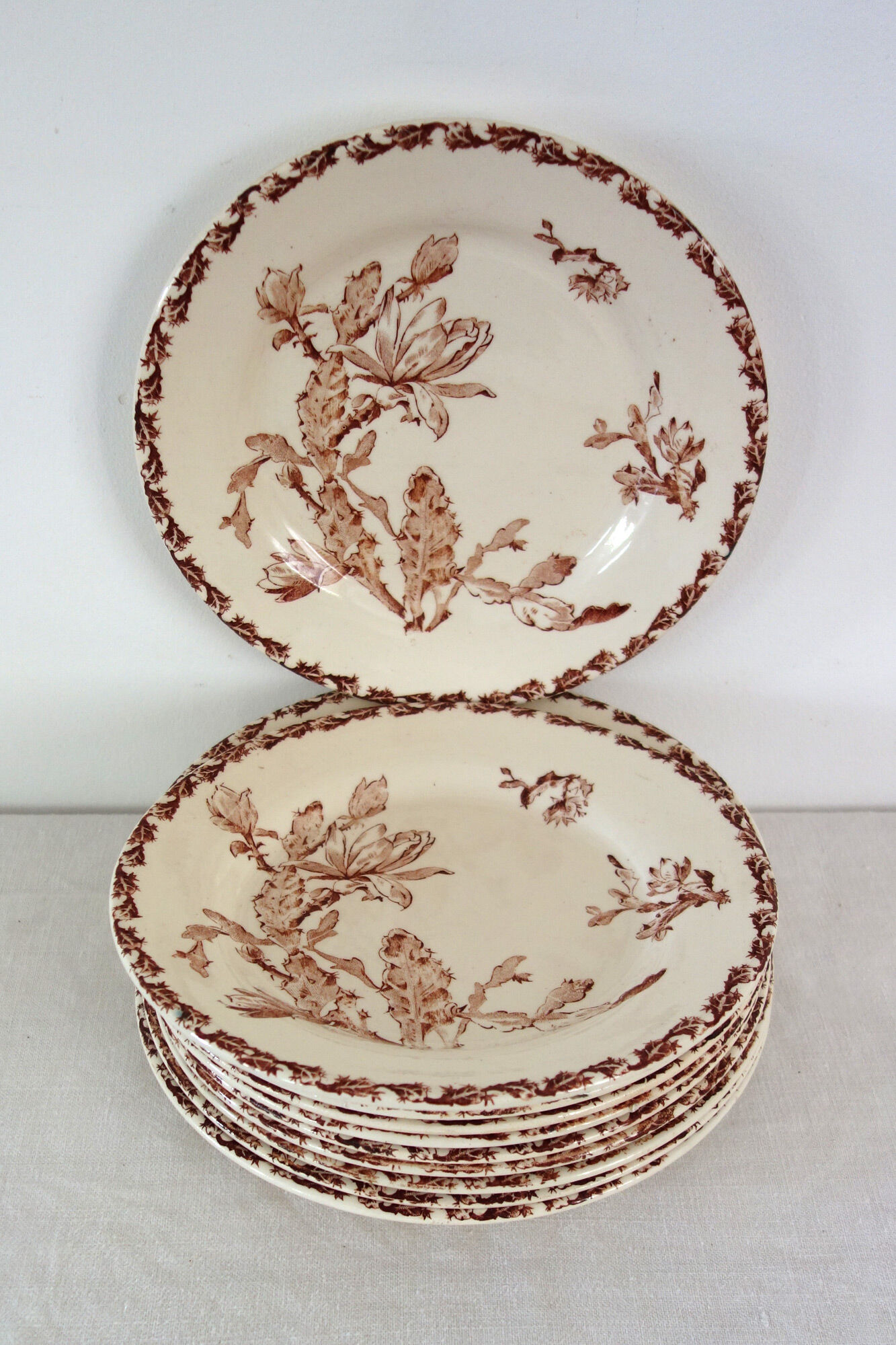 11 Gien plates in the Cactus pattern from around 1900.
