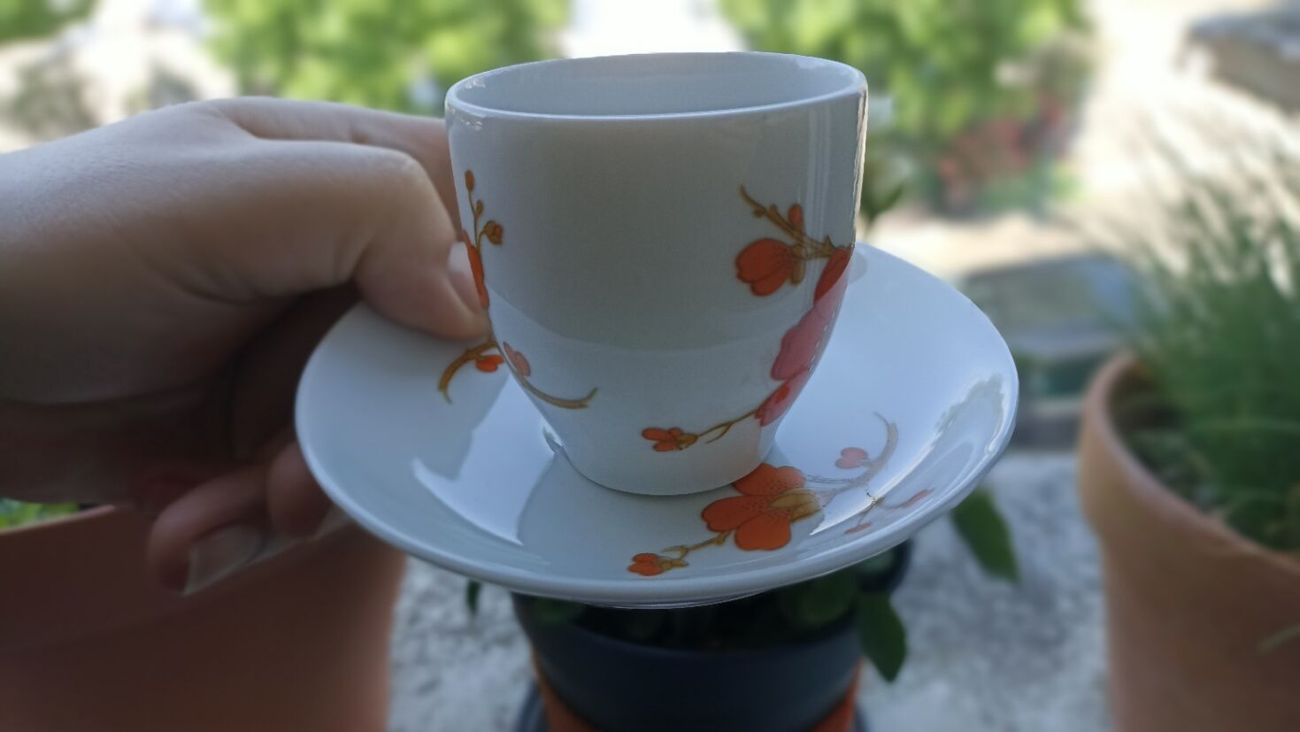 9 espresso cups Scherzer Bavaria - Bavarian porcelain 70s