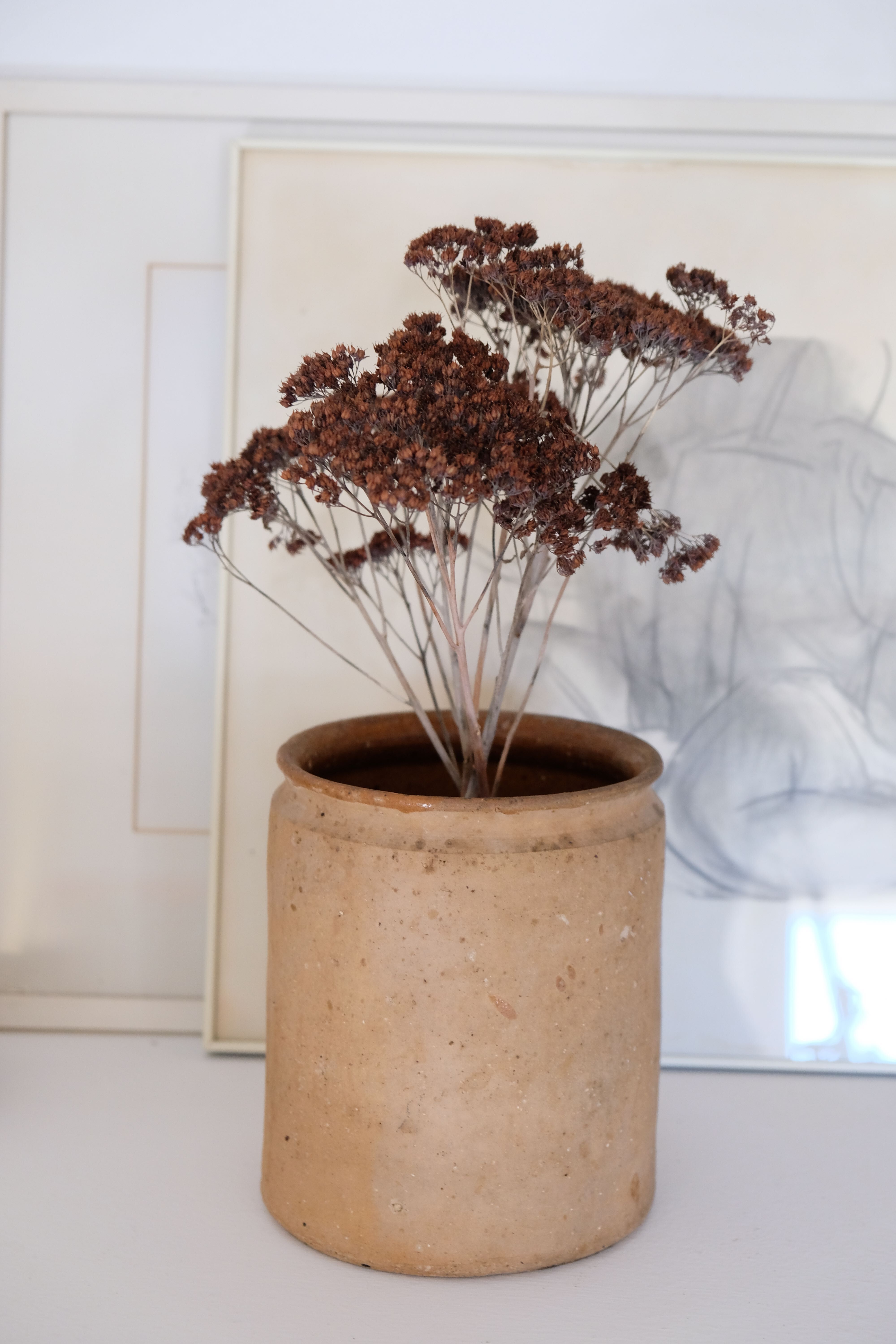 Old terracotta pot Provence XIX th