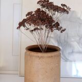 Old terracotta pot Provence XIX th