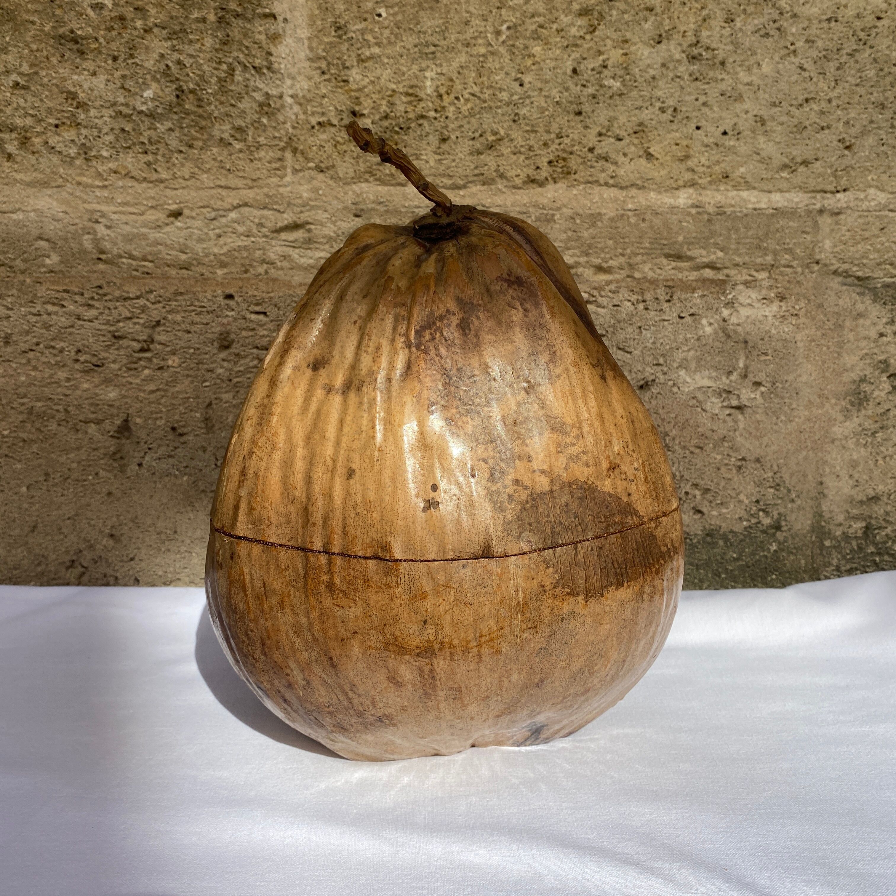 Coconut ice bucket