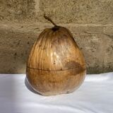 Coconut ice bucket