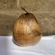 Coconut ice bucket