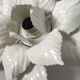 vintage flower wall light
