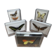 Lot de papillons naturalisés boîtes plexiglass entomologiste