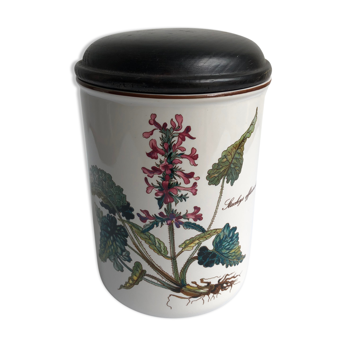 Villeroy & Boch Pot à Epices Model BOTANICA Stachys Officinalis - Deco Cuisine
