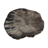 Large empty pocket or flat petrified wood - 24,5cm