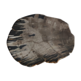 Large empty pocket or flat petrified wood - 24,5cm