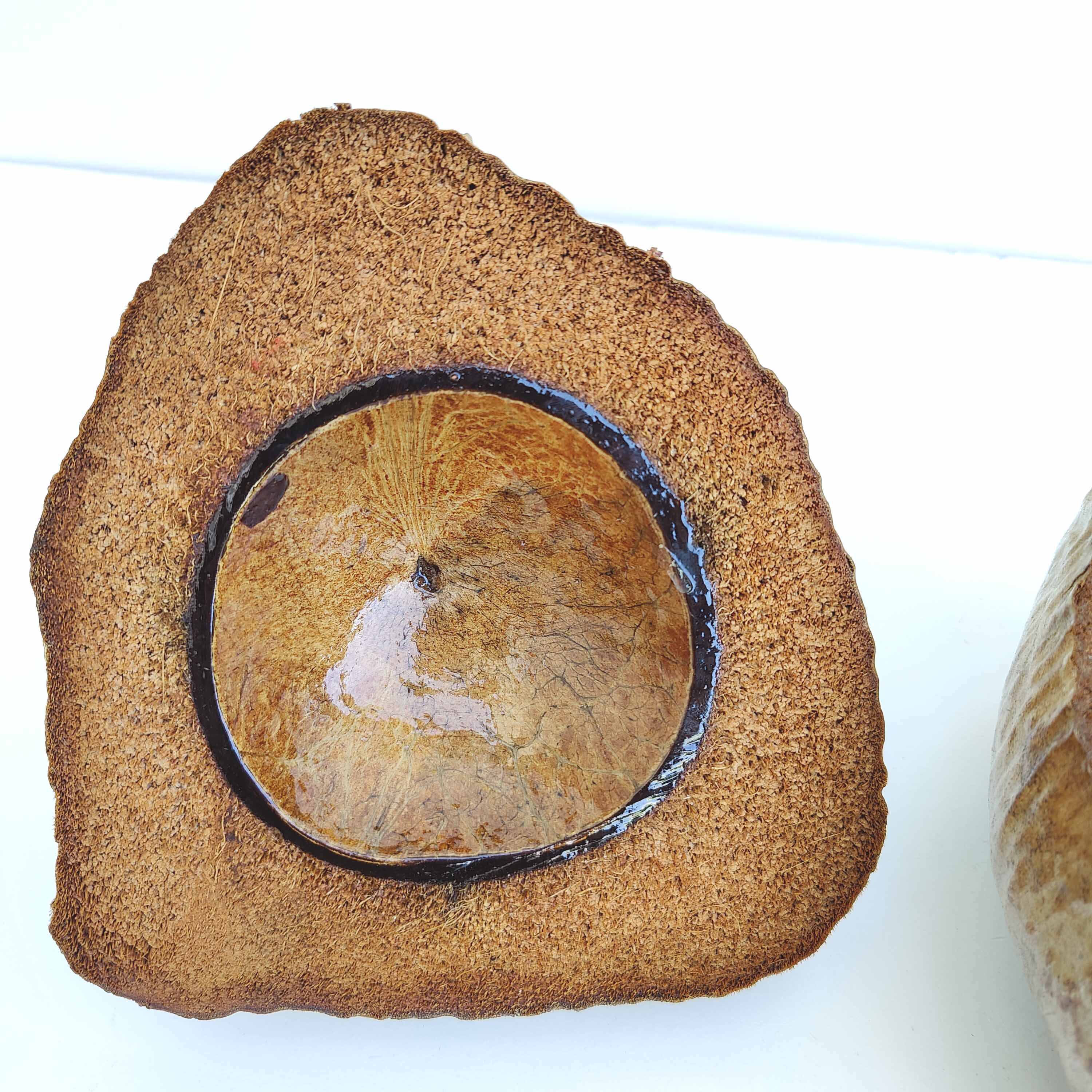 Vintage coconut ice bucket