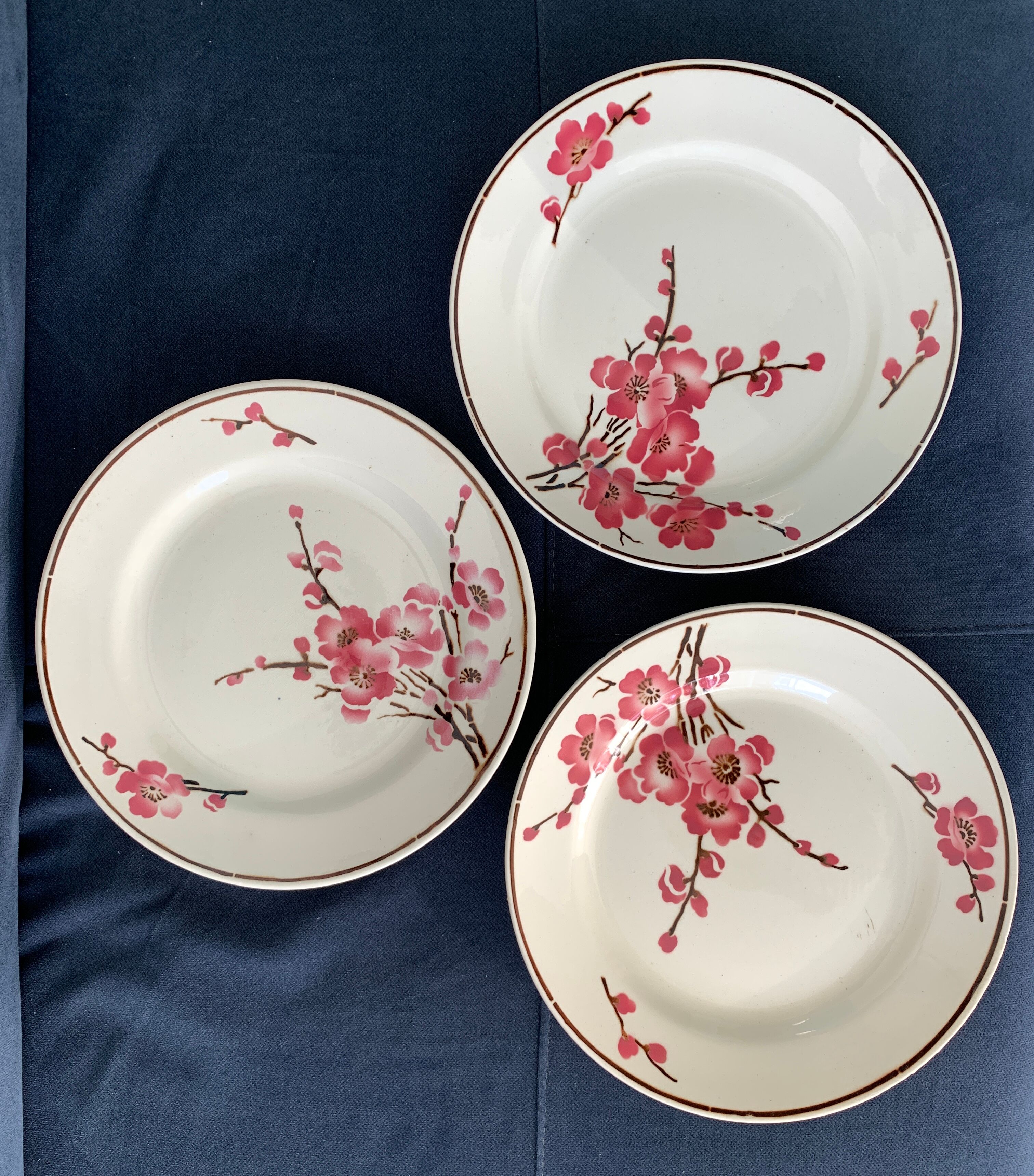 11 dessert plates Saint Amand Terre de Fer, 1930