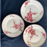 11 dessert plates Saint Amand Terre de Fer, 1930