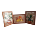 Triptyque nature morte sur papier Amate Marin Mexico