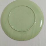 Large pastel green plate with a golden rim.