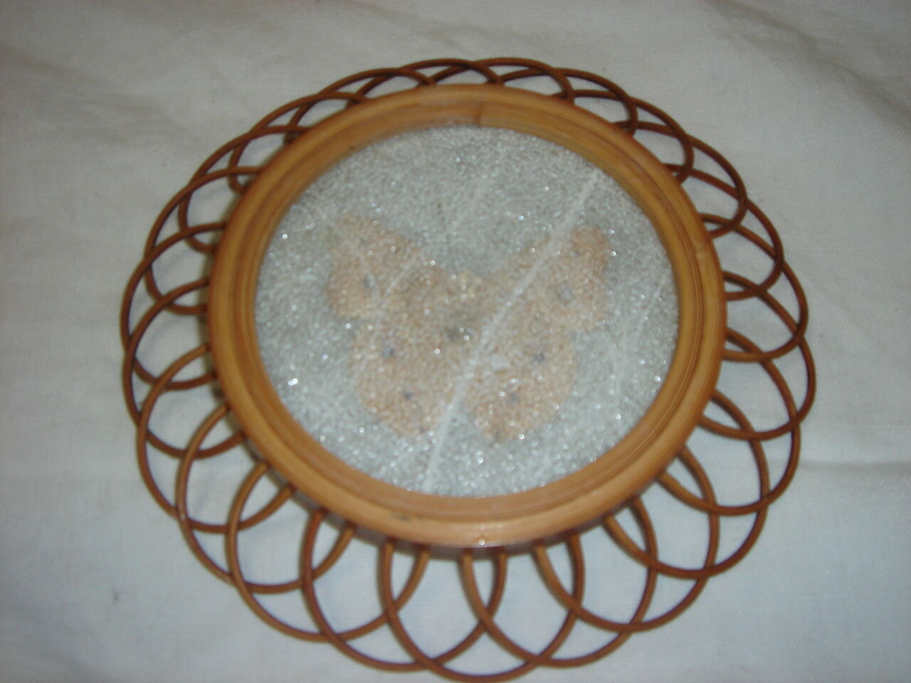 Naturalized butterfly, rattan support from 1970